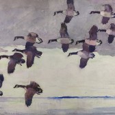 Benson-Flock of Geese