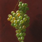 Way-Still Life with Grapes