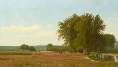 Summer Landscape