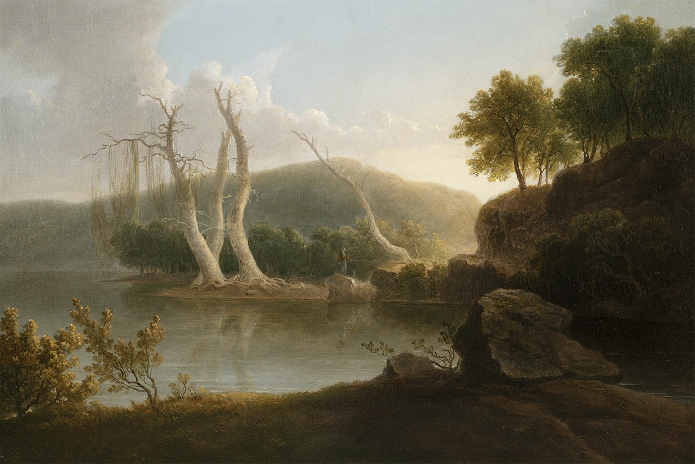 Doughty Southern Swamp Questroyal Fine Art