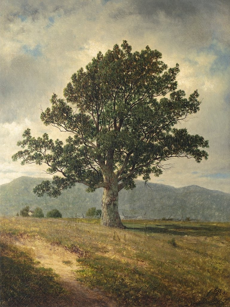 Joyceville, Connecticut