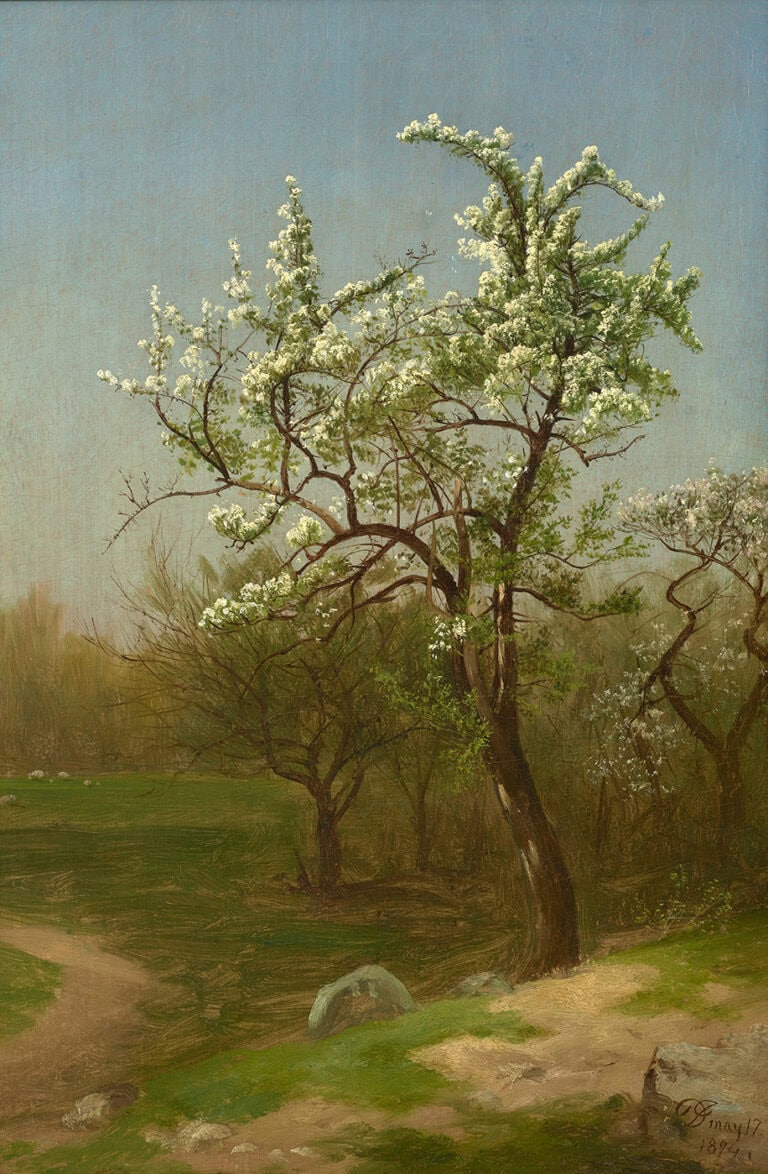Sketch from Nature: Pear Tree in Blossom, 1874 - David Johnson (1827–1908)