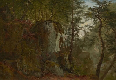 Wooded Landscape with Boulders