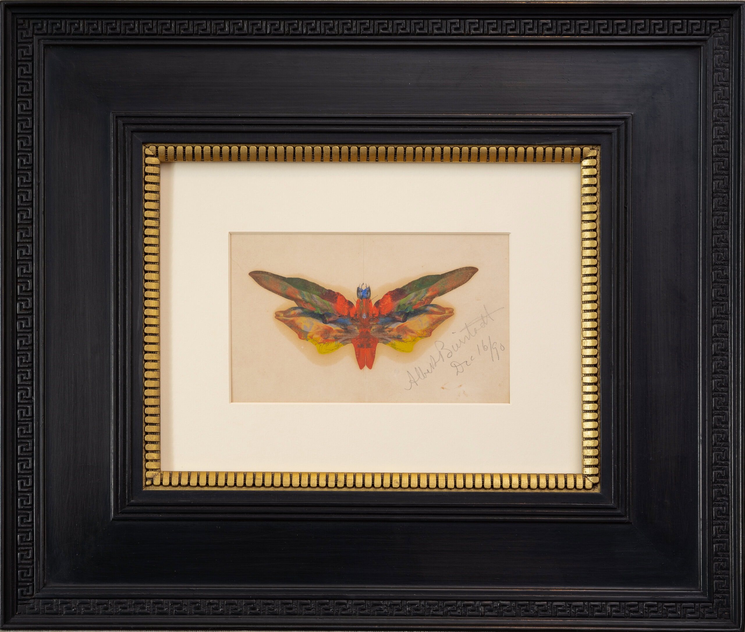 painting of multicolored butterfly with artist signature in lower right