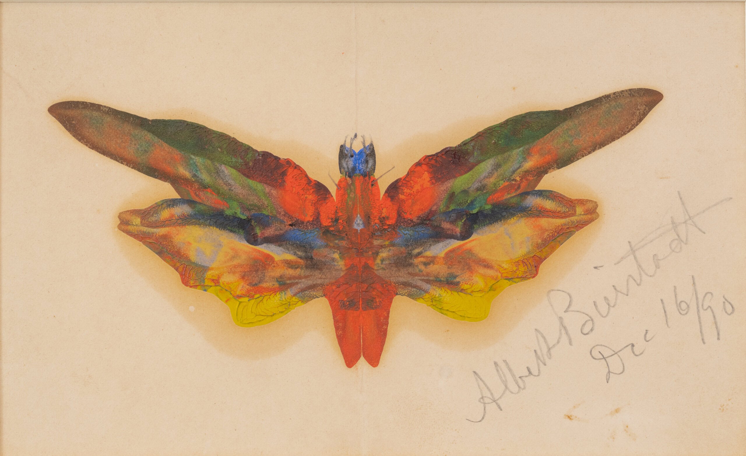 painting of multicolored butterfly with artist signature in lower right