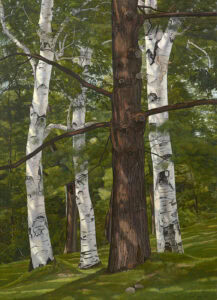Tree Portraits (No. 2)