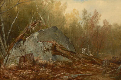 Wood Interior with Rocks–a Study