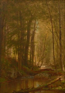 The Brook in the Woods