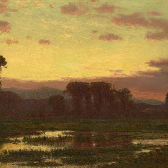 Twilight in the Marshes