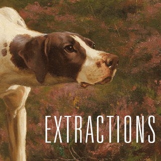 Extractions