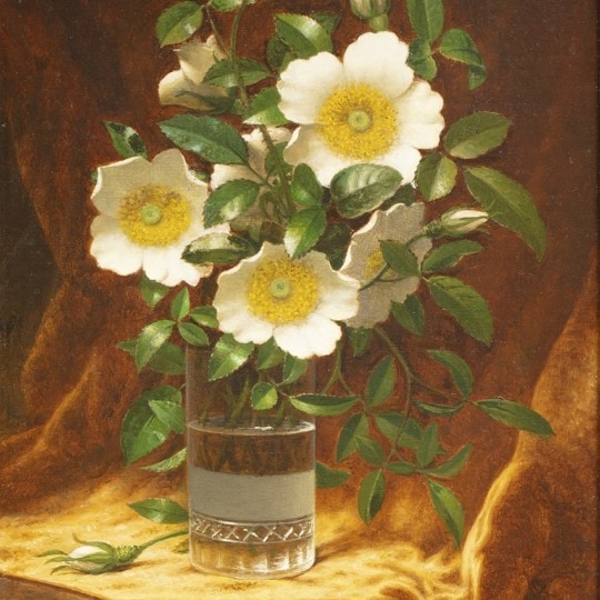 Cherokee Roses in a Glass