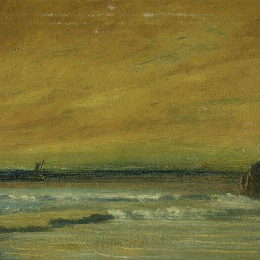 Eilshemius-Beach-Scene